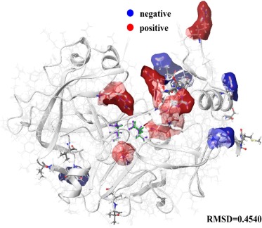 Рис. 2. Распределение зарядов в молекуле химозина. Источник: International Journal of Biological Macromolecules